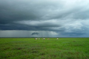 severe weather quieter infographic
